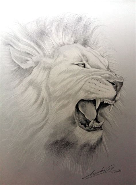 How To Draw A Realistic Lion at Drawing Tutorials