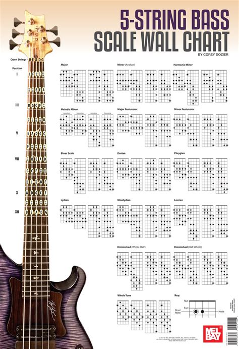 5 string bass fretboard chart