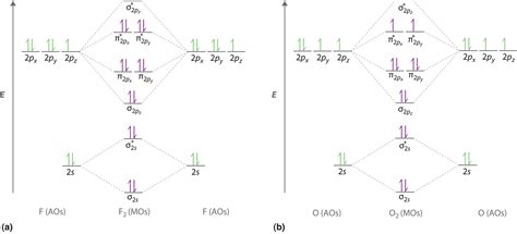 Draw Molecular Orbital Diagram For No Or Co