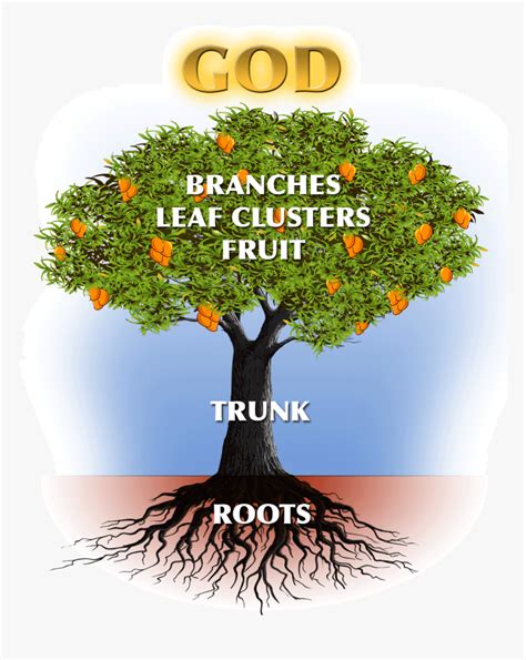 Mango Tree With Roots, HD Png Download - kindpng