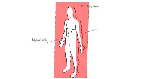 What are Axis and Planes of the Body, and its Type