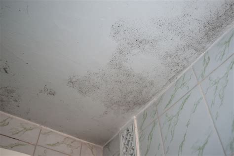 How To Get Mold Mildew Off Bathroom Ceiling – Artcomcrea