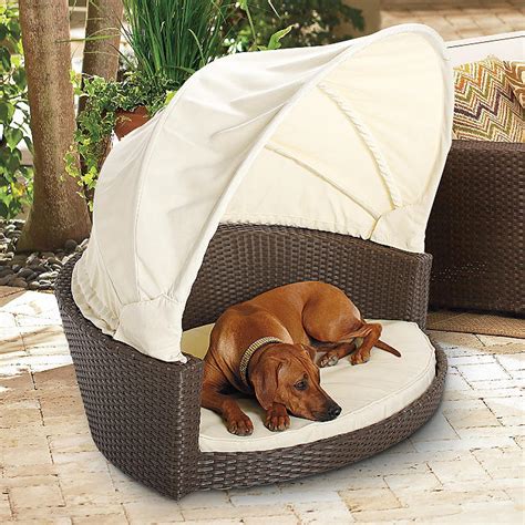 Outdoor Wicker Pet Bed with Canopy | Frontgate