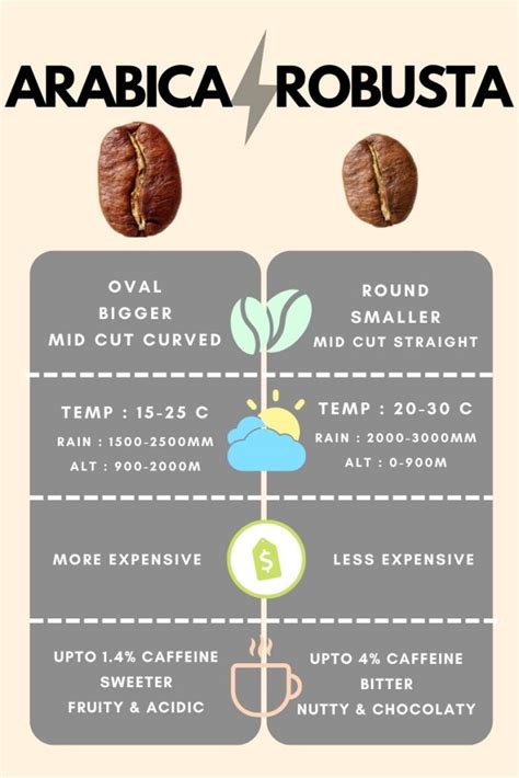 Arabica vs Robusta - Pahadee Coffee Roasters