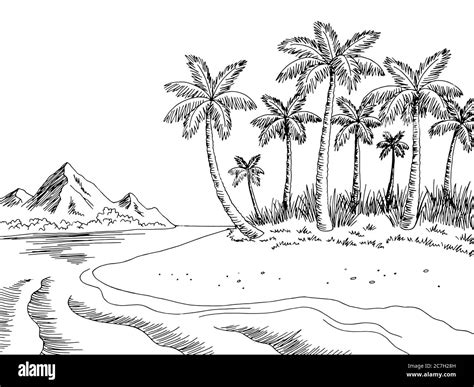 Sea coast graphic beach black white landscape sketch illustration vector Stock Vector Image ...