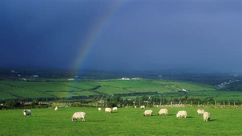 Ireland Countryside Wallpaper - WallpaperSafari