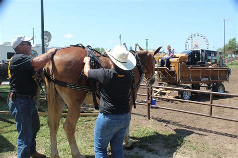 Missouri Gal: 2013 Missouri State Fair