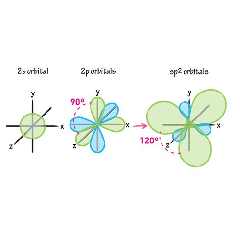 Biochemistry Glossary: sp2 Orbital | ditki medical & biological sciences