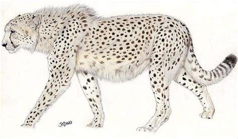 Giant Cheetah (Acinonyx pardinensis) | Prehistoric animals dinosaurs, Big cats art, Prehistoric ...