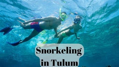 Snorkeling in Tulum - A List of the Best Places | InfoVacay