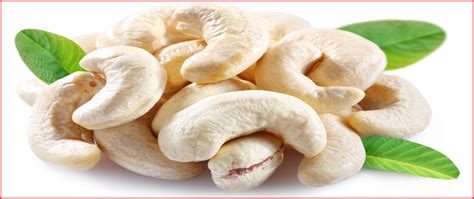 Cashew Kernels – East India Crops and Goods Exports