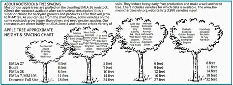 Tree Spacing (trees forum at permies)