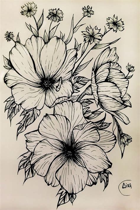 50 Easy Flower Pencil Drawings For Inspiration