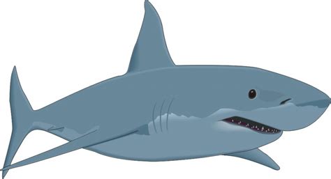 Great White Shark Cartoon - Cliparts.co