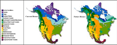 Biome Map Of North America – Map Vector