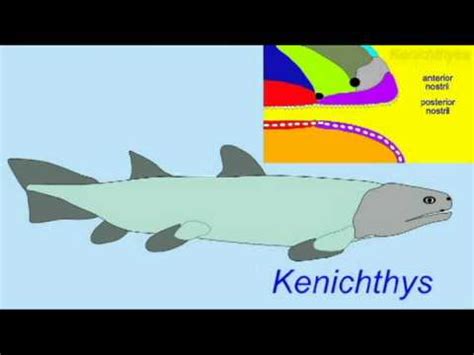 PREHISTORIC FISH INTERVIEW EARLY SARCOPTERYGIANS - YouTube