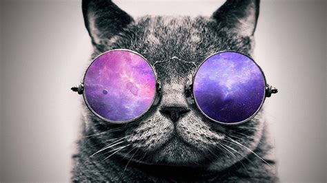 Glasses Cat Galaxy Wallpapers - Top Free Glasses Cat Galaxy Backgrounds - WallpaperAccess