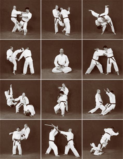 Marc Tedeschi: FAQ, What is Hapkido?