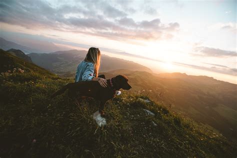 Camping in the Bernese Alps - Camping With Dogs