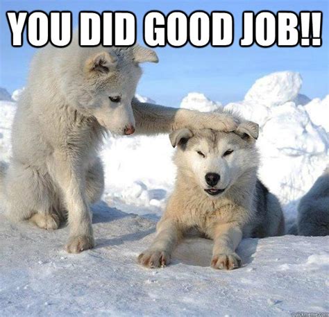 You did good job!! - Caring Husky - quickmeme