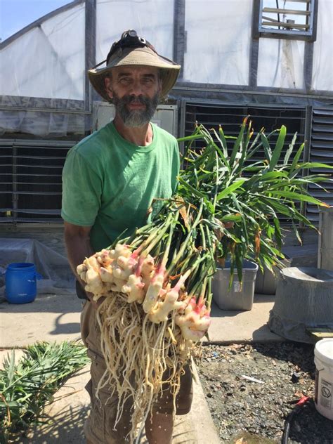 Mike with Harvest