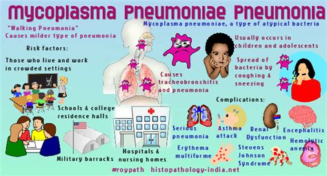 Pathology of Mycoplasma Pneumoniae Pneumonia - Dr Sampurna Roy MD