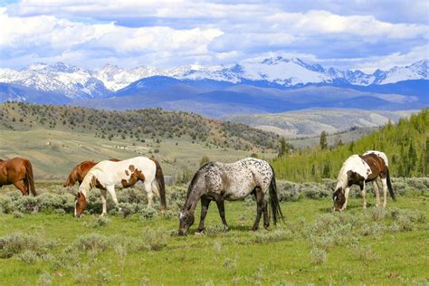 How to Choose the Right Dude Ranch | The Dude Ranchers' Association