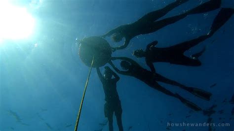 Freediving in Batangas | Intro Course via Ocean Limits PH — Jea Wanders