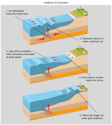 Tsunami Diagram