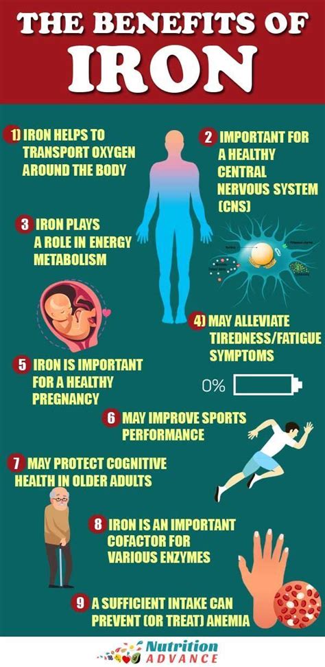 9 Health Benefits and Important Functions of Iron | Iron benefits, Health benefits, Benefits of ...