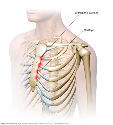 Sternum Location