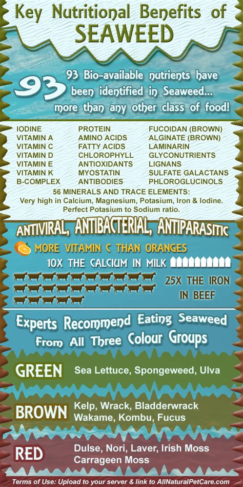 Mix Seaweeds for Max Benefits (Infographic) ⋆ Canadian Family .net