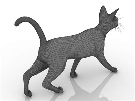 Cat 3D model - Download Free 3D models