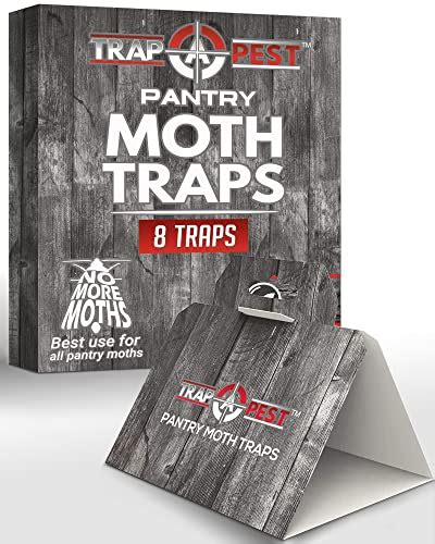 Finding The Best Moth Traps For Pantry Protection