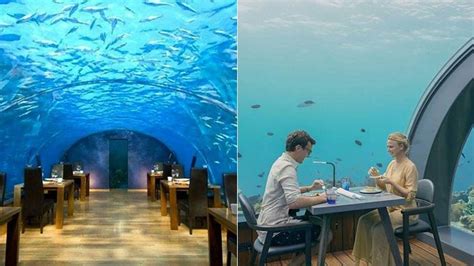 An underwater restaurant has opened in the Maldives – and it looks amazing