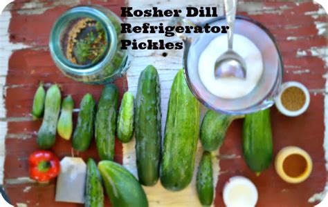 EASY Dill Homemade Refrigerator Pickles