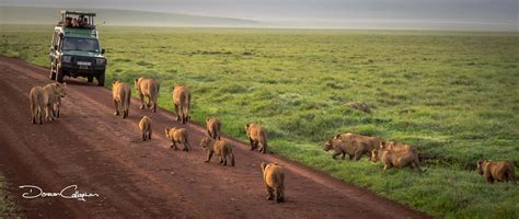 Top Photo Spots at Ngorongoro Crater in 2022