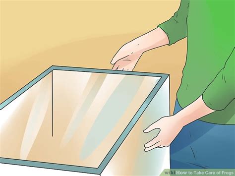 How to Take Care of Frogs: 15 Steps (with Pictures) - wikiHow