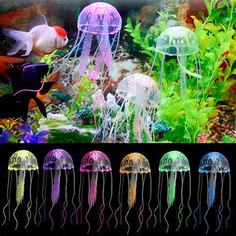 Jellyfish Aquarium