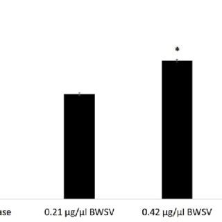 Hyaluronidase activity of Latrodectus geometricus venom (BWSV). The... | Download Scientific Diagram