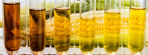 Biofuel | Biofuel Examples | Types of Biofuel