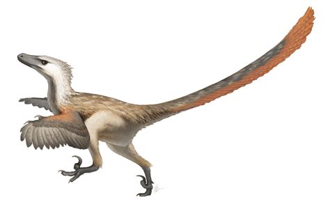 It’s official: birds are literally dinosaurs. Here’s how we know (2023)