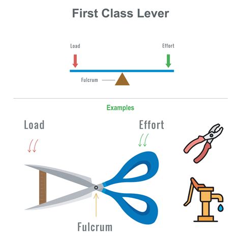 First class lever with the examples vector illustration 23452912 Vector Art at Vecteezy