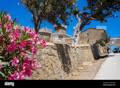 Medieval Castle in Tuscany, Italy Stock Photo - Alamy