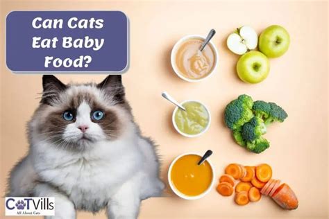 Can Cats Eat Baby Food? The Potential Benefits and Risks