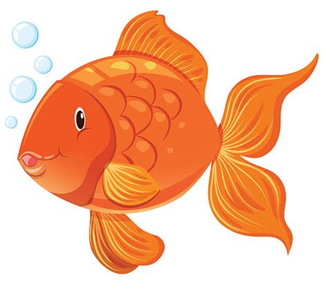 Royalty Free Goldfish Clip Art, Vector Images & Illustrations - iStock