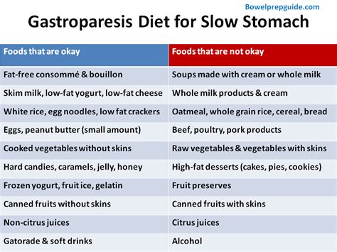 The gastroparesis diet for slow stomach | BowelPrepGuide