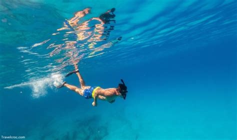 Playa Del Carmen Snorkeling Complete Guide | Explore Mexico