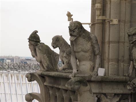 Paris! | Notre dame gargoyles, Gargoyles, Gothic gargoyles