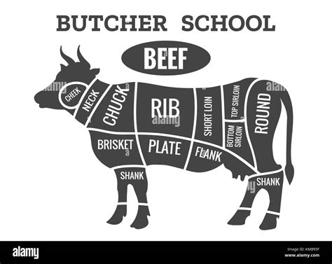 Diagram Of Cow Meat